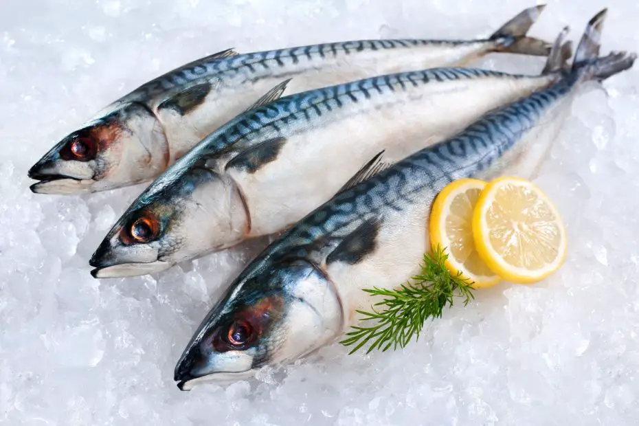 ¿Cuánto dura el pescado congelado?