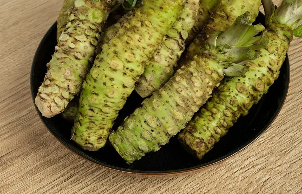 Wasabi ¿Qué es y para qué sirve? ¡Sumamente saludable!