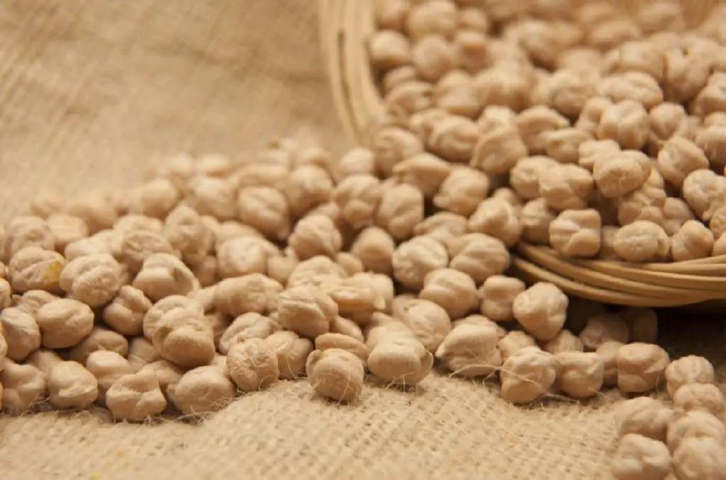 El Garbanzo ¿Que es? Origen, Beneficios, Tipos, Valor Nutricional y más.