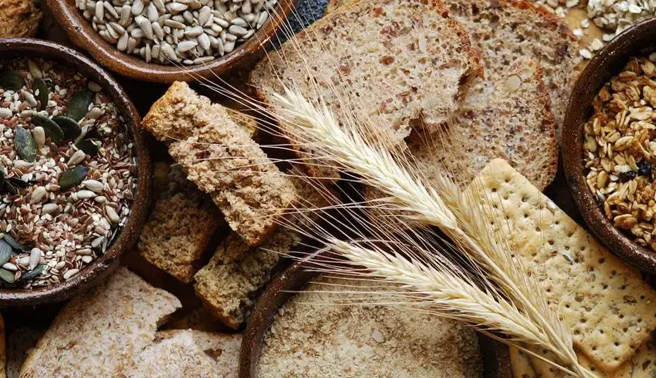 ¿Cuales son los Cereales altos en fibra?
