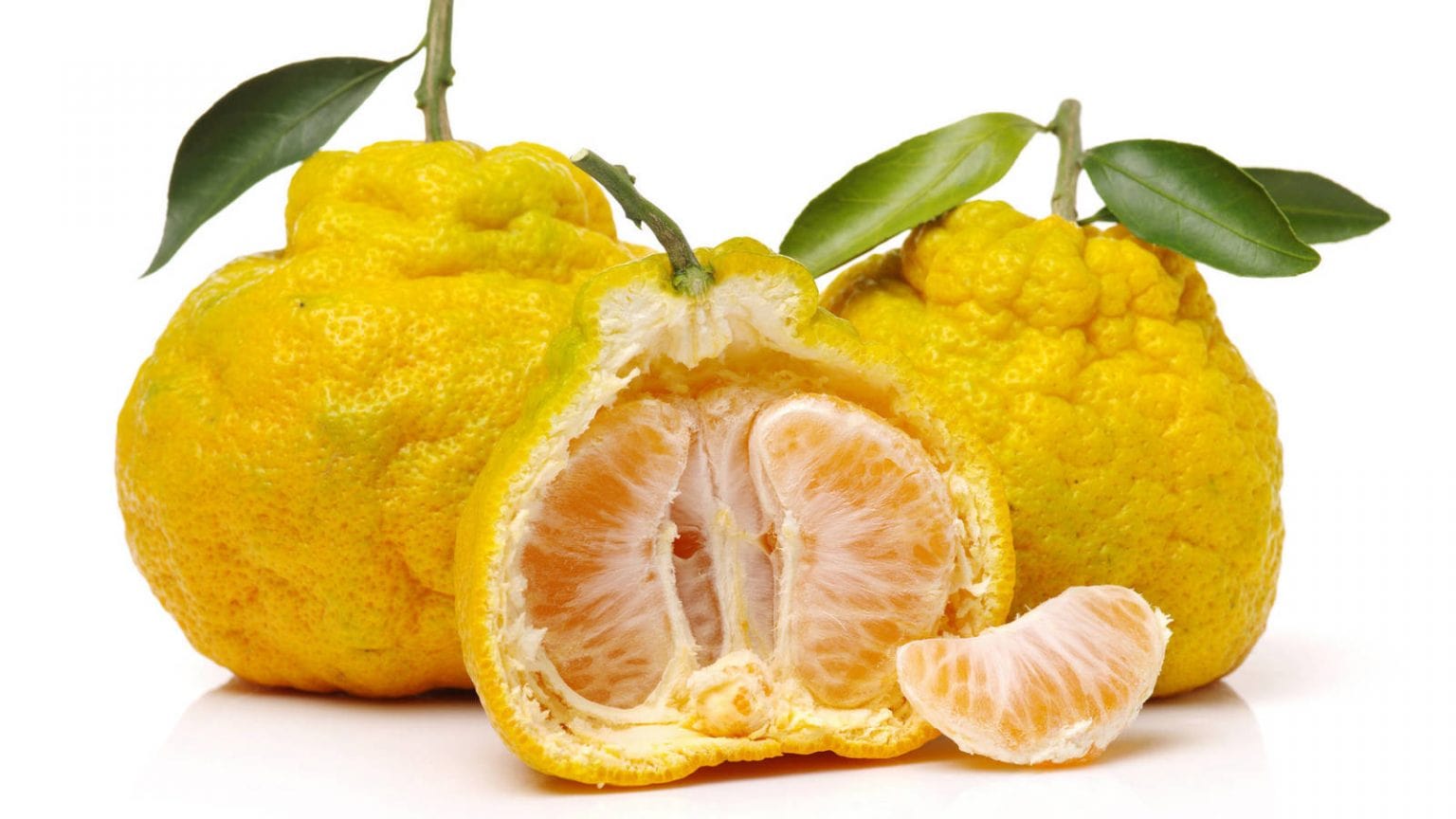 Ugli ¿Qué es? Origen, Tipos, Valor Nutricional y más.