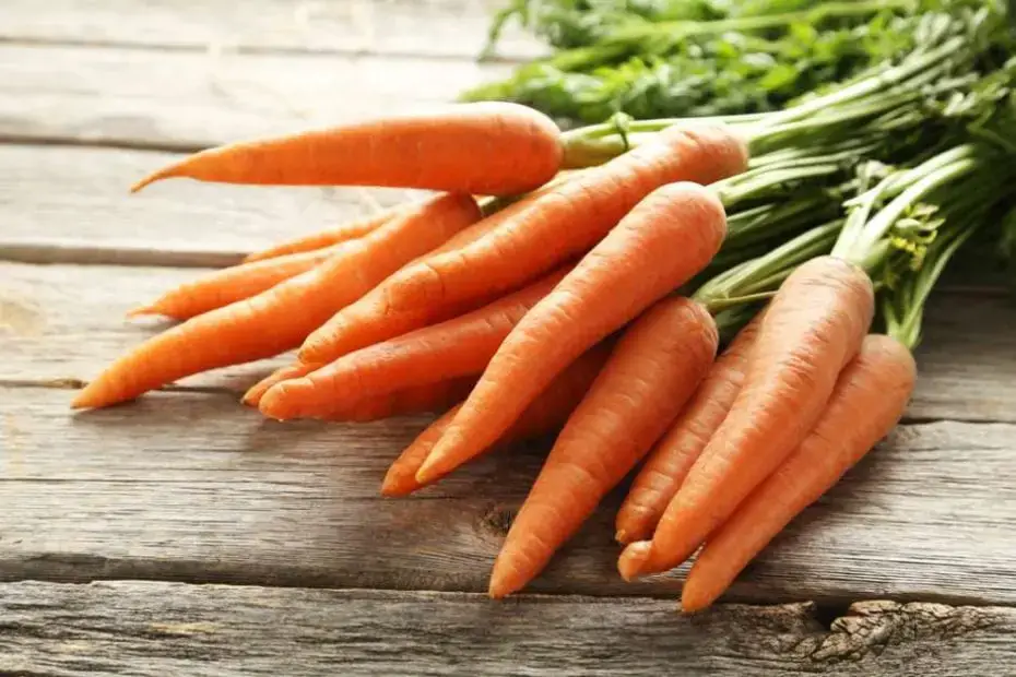 ¿Cómo conservar las zanahorias?