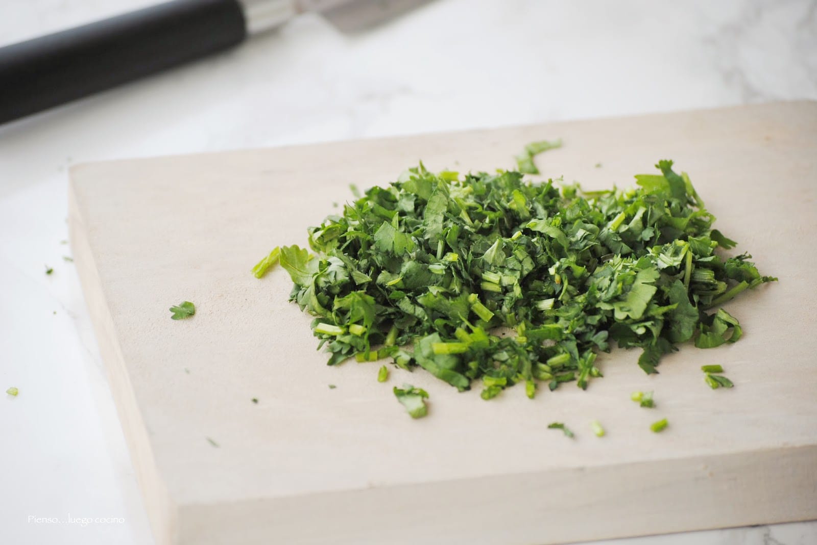 Cómo conservar el cilandro