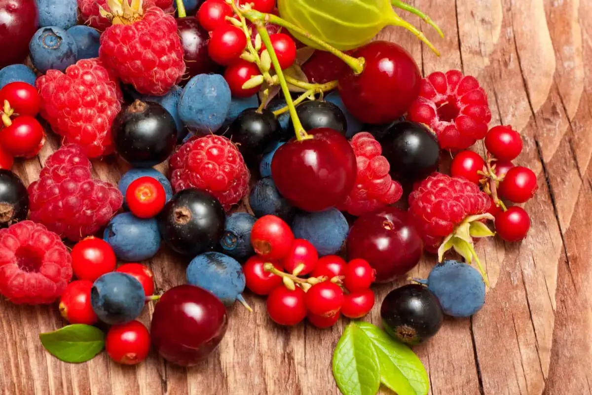 +10 Alimentos con polifenoles: El poder de los antioxidantes