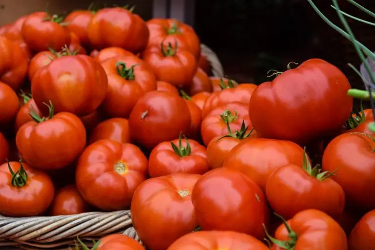 16 Alimentos Ricos En Cloro ¿son Importantes Para La Salud 1111